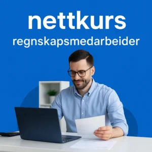 Regnskapsmedarbeider Tripletex